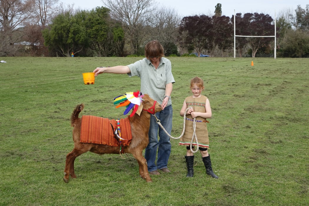 Go goat! A student poses with her champion pet at Elsthorpe Primary School in central Hawke's Bay.