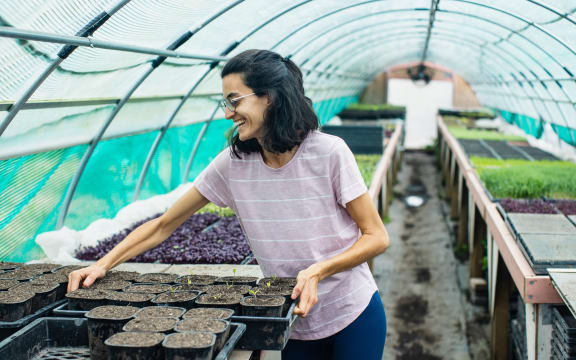 Farm manager Coral Remiro tending to seedlings.