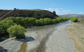 Manuherikia River