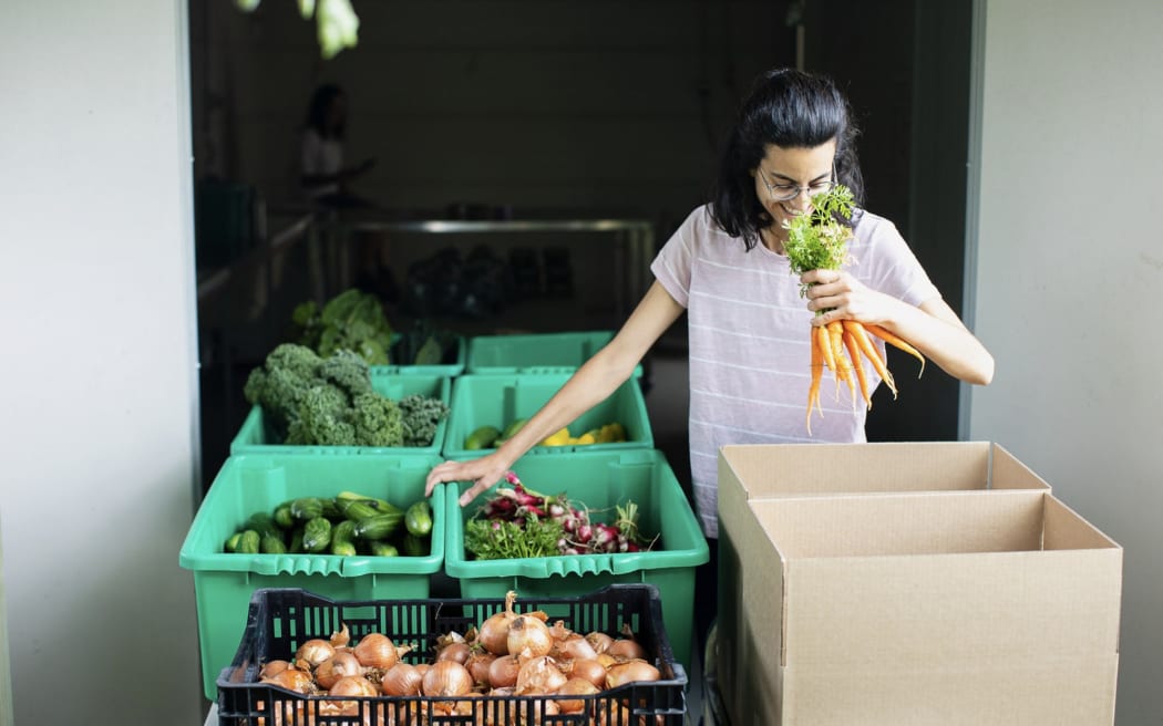 Earth Steward's farm manager Coral Remiro inspects harvested produce.