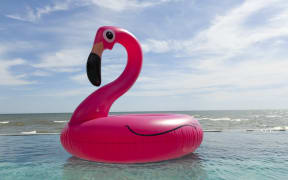 Inflatable beach toy flamingo