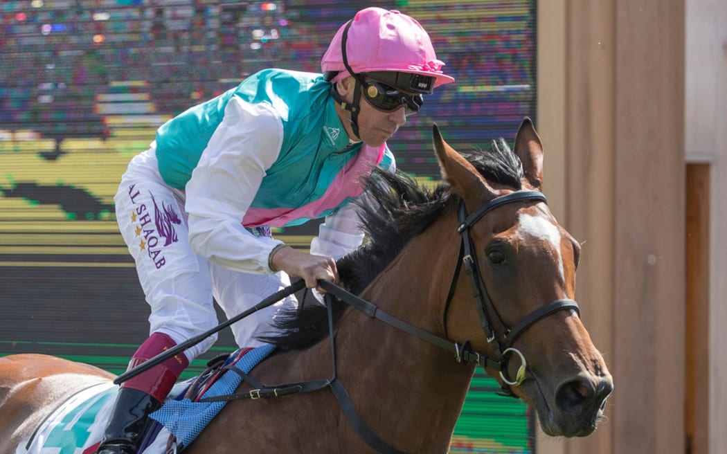 Dettori announces one last year in the racing saddle | RNZ News