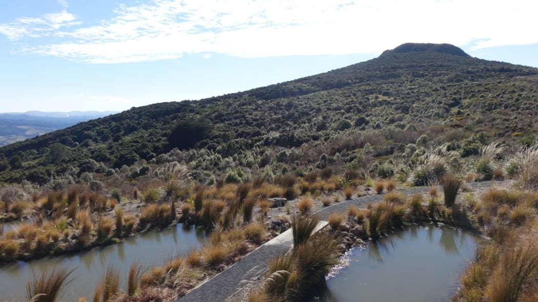 Orokonui Ecosanctuary