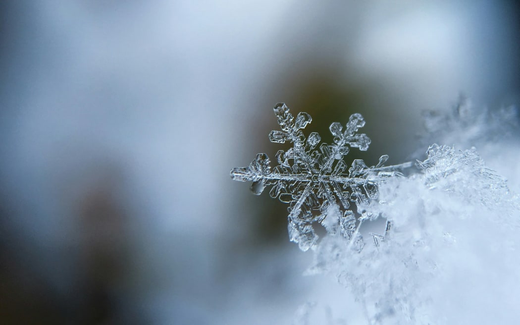 A close up macro photo of a snowflake.