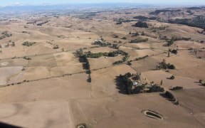 Conditions during the Hawke's Bay drought 2013.