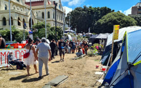 The protest site on Parliament grounds on day 15.