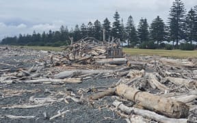Woody debris on the beach by Marine Parade.