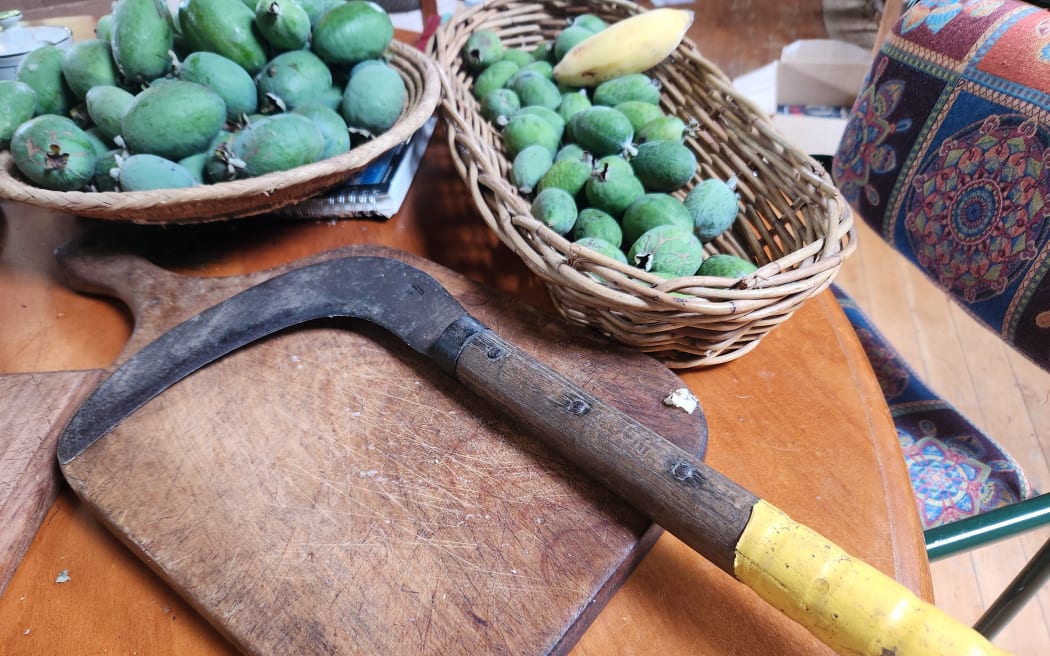 A well-used garden tool in the Pearsall's orchard