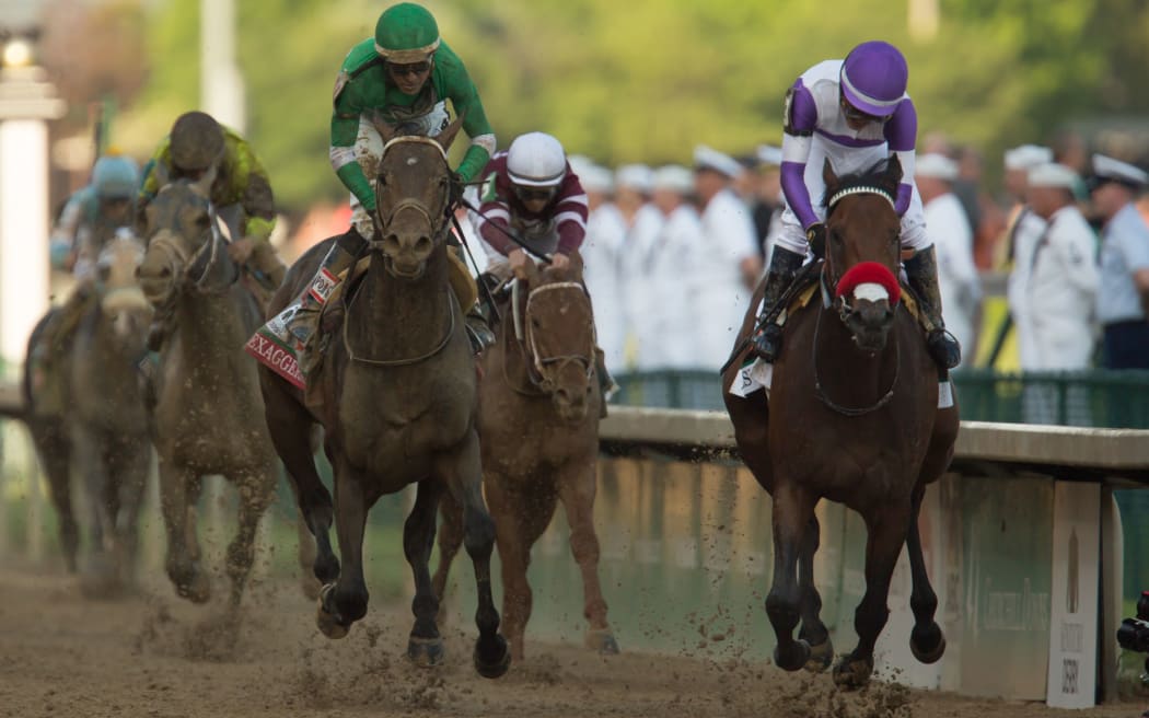 2016 Kentucky Derby winner Nyquist.