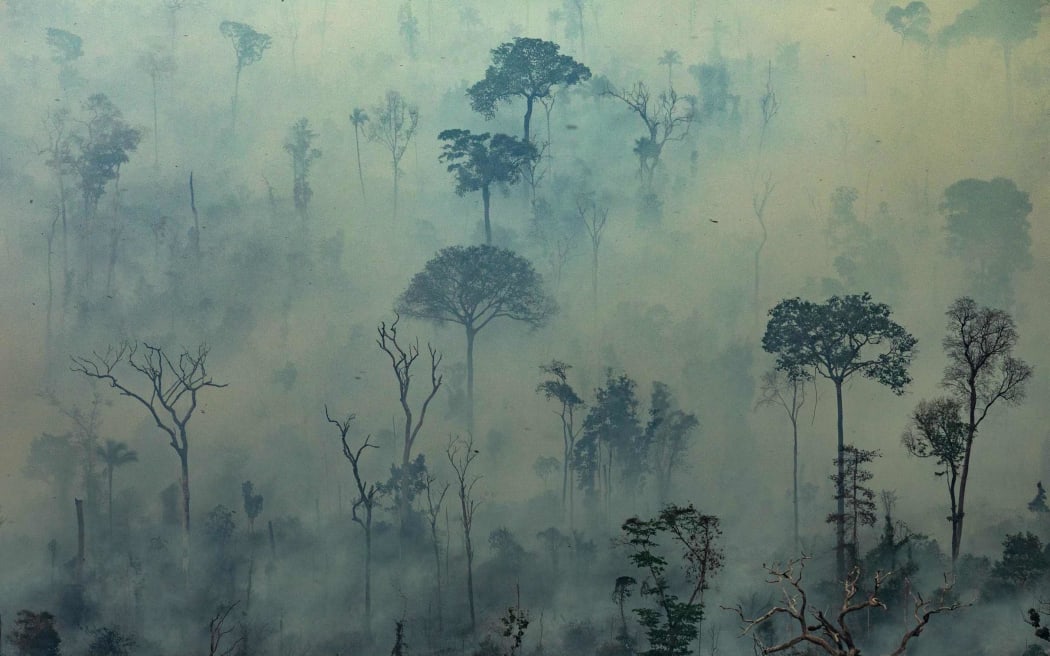 Aerial picture supplied by Greenpeace showing smoke billowing from fires in the Amazon forest, Para State, Brazil.