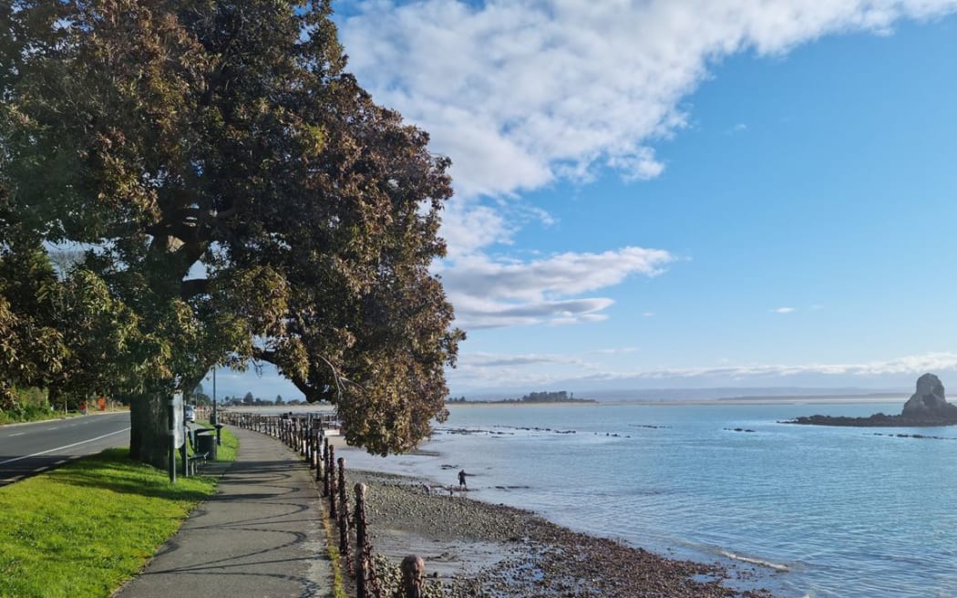 A family enjoying the low tide on Rocks Road in Nelson near Fifeshire Rock.