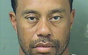 tiger dui