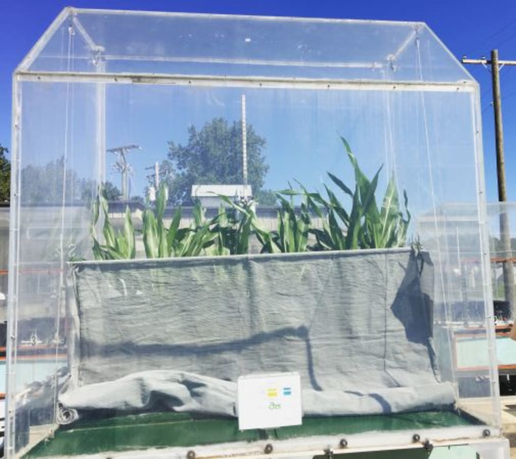 A greenhouse measuring elevated CO2 on corn