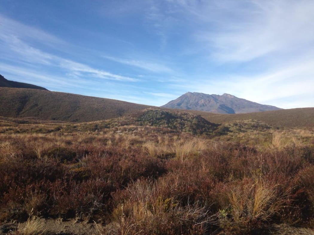 Mount Ruapehu as seen from entrance to Tongariro National Park