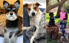 The winners from Frog Recruitment's Top Dog competition.
