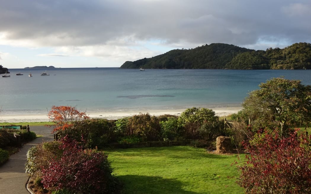 Halfmoon Bay in Stewart Island