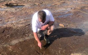 Australian Tim Wagstaff finds fossilised dinosaur prints.