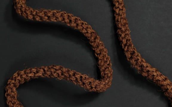 A Tabua seized at New Zealand’s border under the CITES act. It is one of more than 100 in the Department of Conservation’s possession.