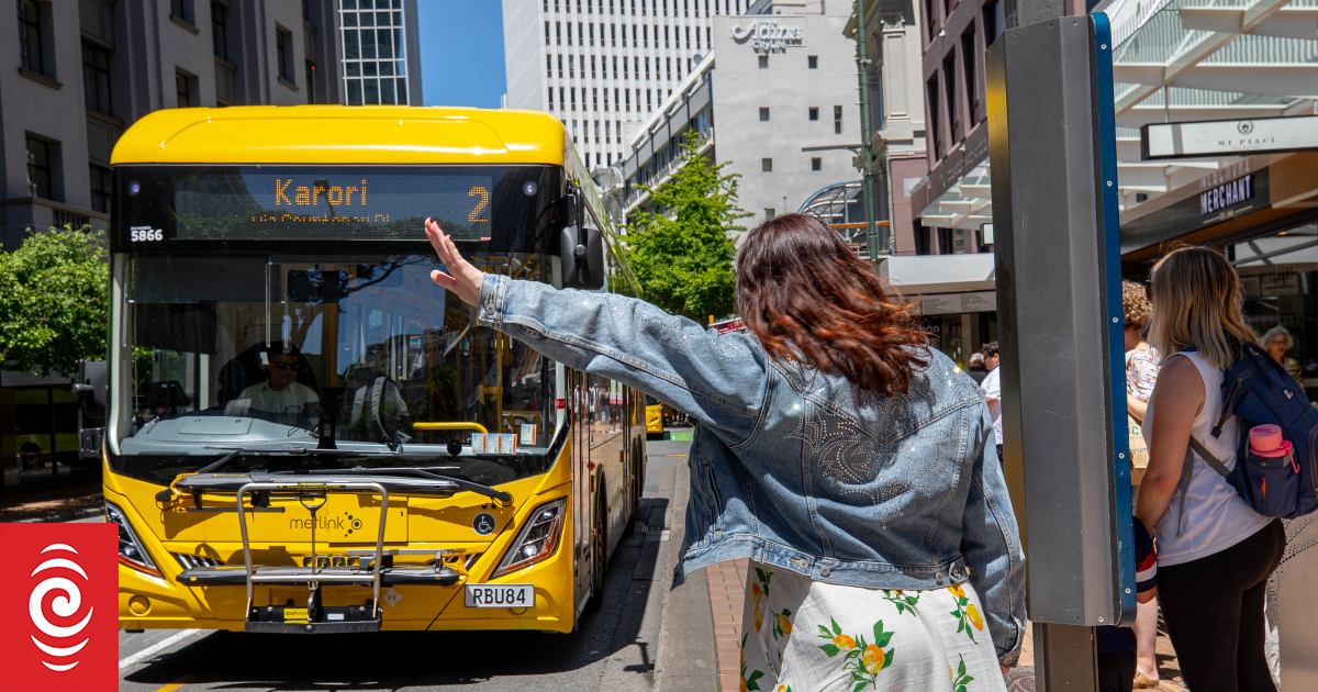Should you have to have to wave down a bus?