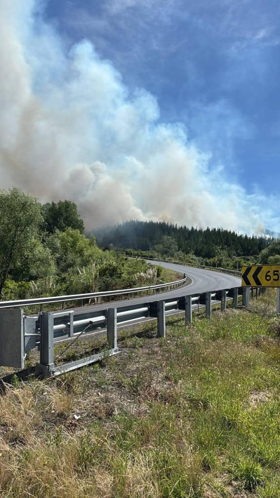 A stretch of State Highway 2 between Napier and Wairoa is shut as crews battle a fire at a pine plantation in Mohaka.
