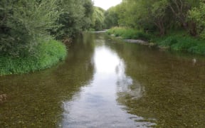 Selwyn River
