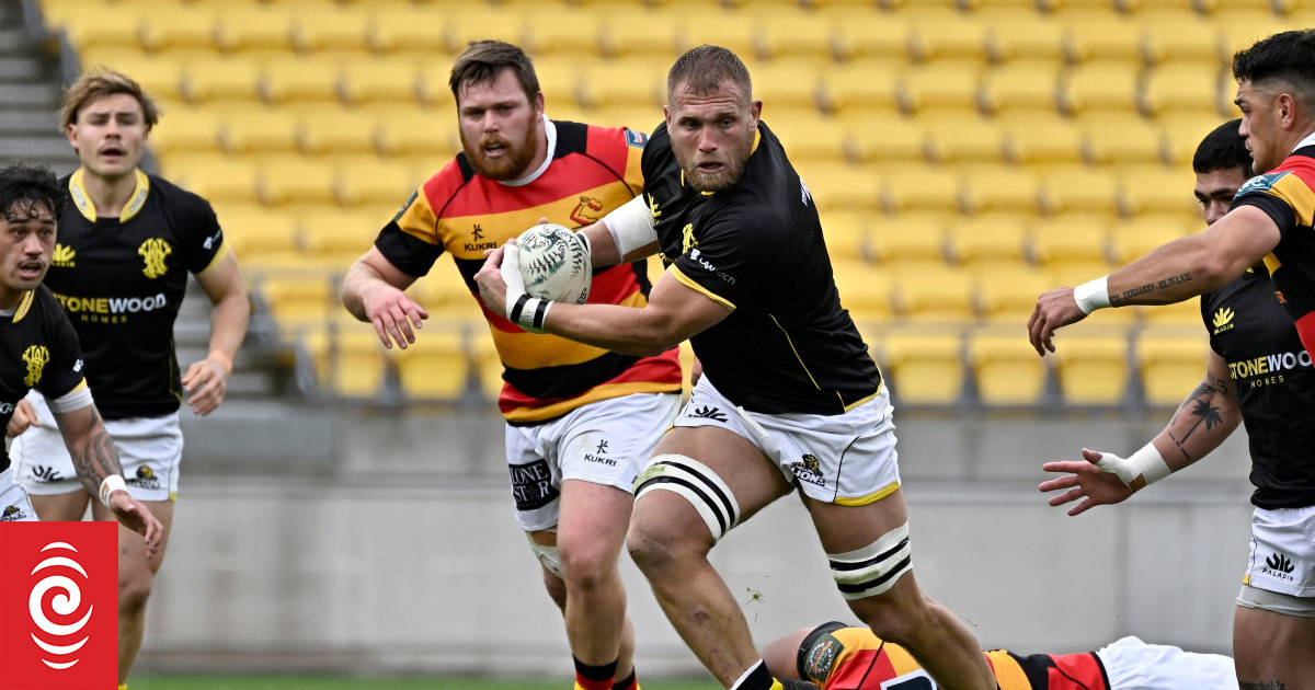 Wellington stave of fierce NPC comeback from Waikato - Vimarsana News