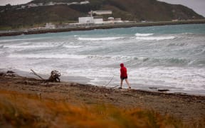 People on the beach at Lyall Bay, Wellington, 31 July 2025. Emergency officials warned the risk of tsumani surges was still very high following the 8.8 earthquake near Russia and people shouldn't go sightseeing at shorelines.
