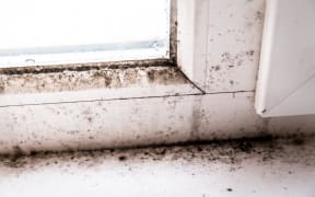 Mould in the corner of a window.