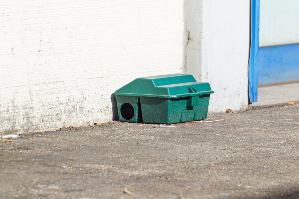 Stock photo of a rat trap.