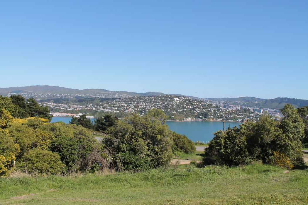 The view looking west at the rear access point to the prison: Evans Bay and Matairangi.