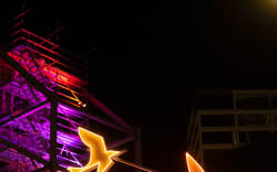 Manu (birds) light up Queen St for Matariki