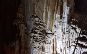 Cave growths in a cave in Waitomo