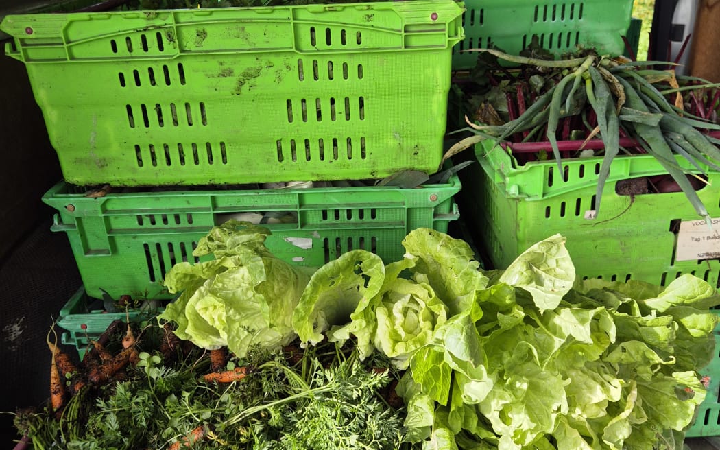 For over 10 years, he's been selling vegetables at the local farmers' market.
