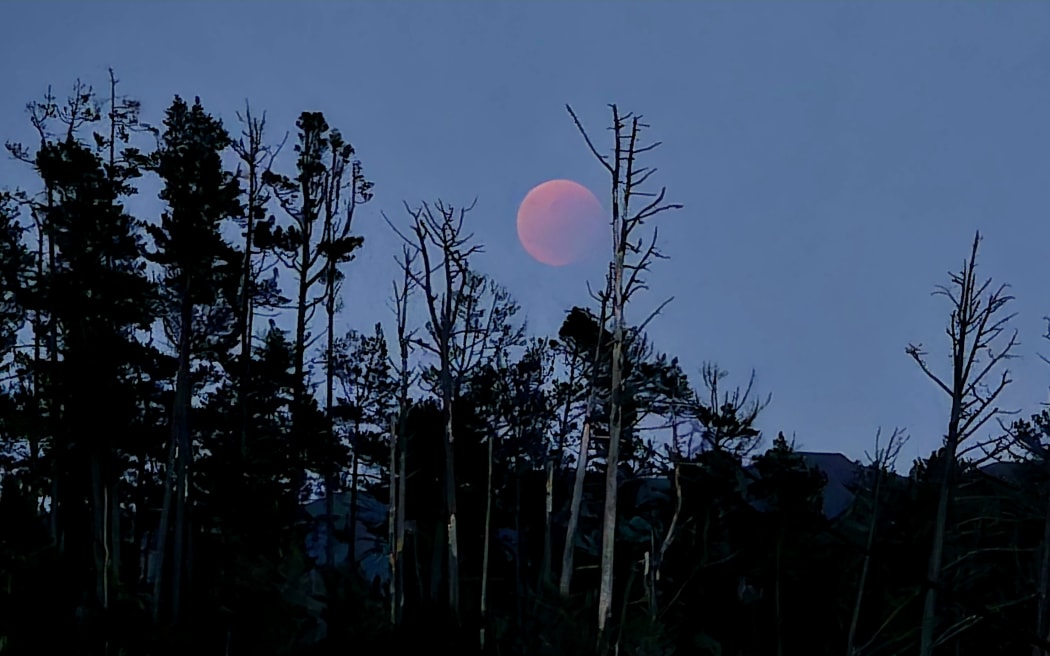 The lunar eclipse / blood moon as seen from Tairua.