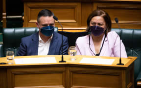 Green Party co-leaders James Shaw and Marama Davidson