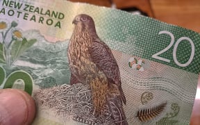 Listeners who voted for karearea, the New Zealand falcon, to be Bird of the Year were on the money