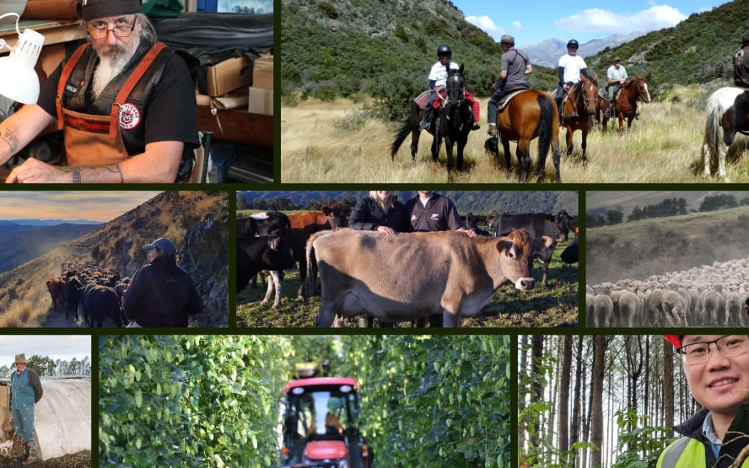 25 years of Country Life