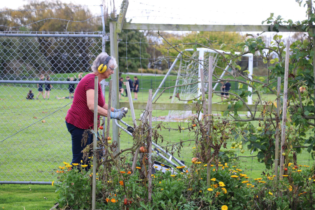 Kaiapoi Community Garden
