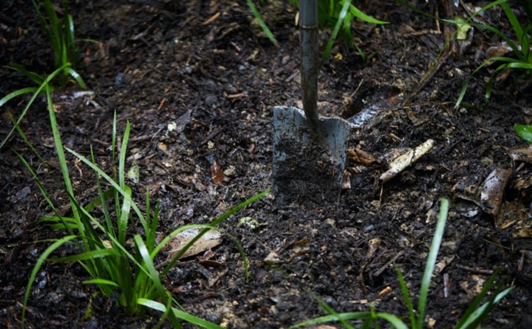 Planting