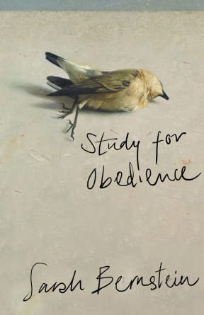 Book jacket image of Study For Obedience by Sarah Bernstein