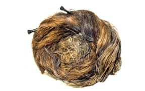 A Roman woman's hair bun in the collection of the Yorkshire Museum.