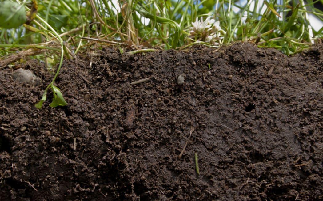 Celebrating Soils, discovering soils and landscapes