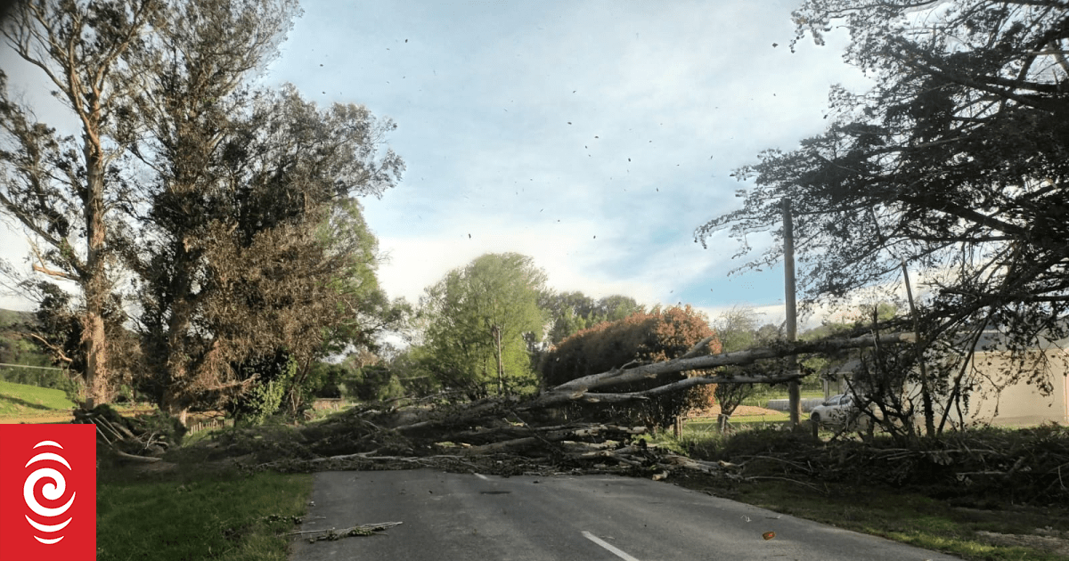 10,000 without power, schools and businesses close as wind slams Wairarapa