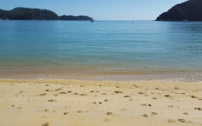 Abel Tasman beach