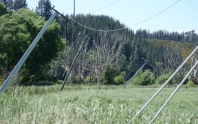 Lines damaged on back road close to Waiau