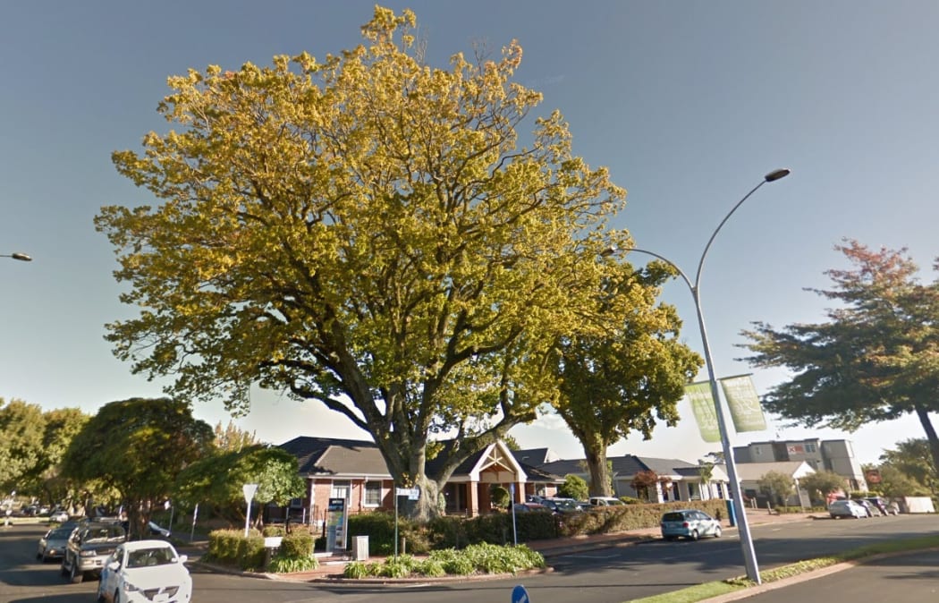 The tree on Arawa Street which came down in the storm, killing a woman in her car.