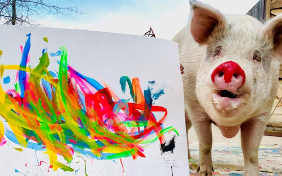 Pigcasso's trainer taught her how to paint using reinforcement learning.