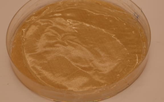 An image of the dried "film", ready for use in packaging or storage. The film is circular and roughly the size of a saucer. It is a light tea colour and the thickness of a sheet of paper.
