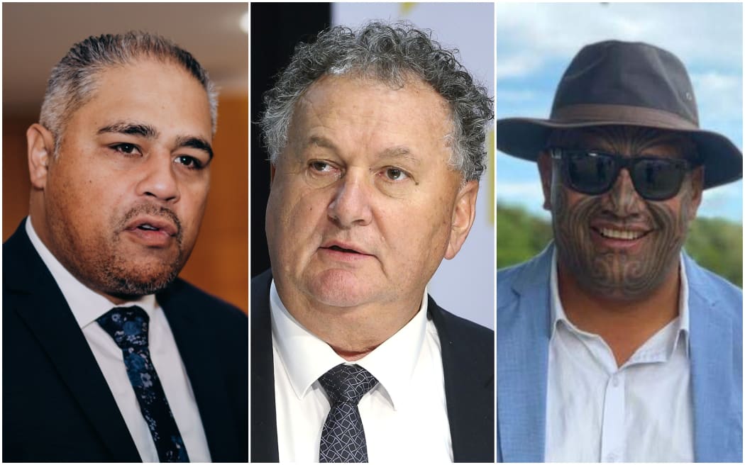 Māori candidates - Peeni Henare, Rawiri Waititi and Shane Jones