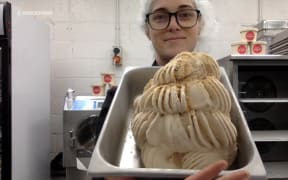 Island Gelato Co. food patisserie engineer, Hannah Clark